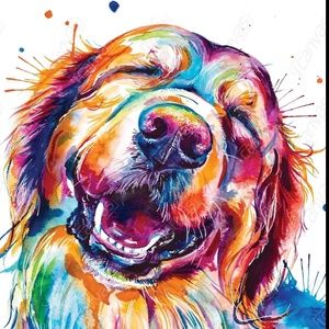 Meet your Posher, Bre